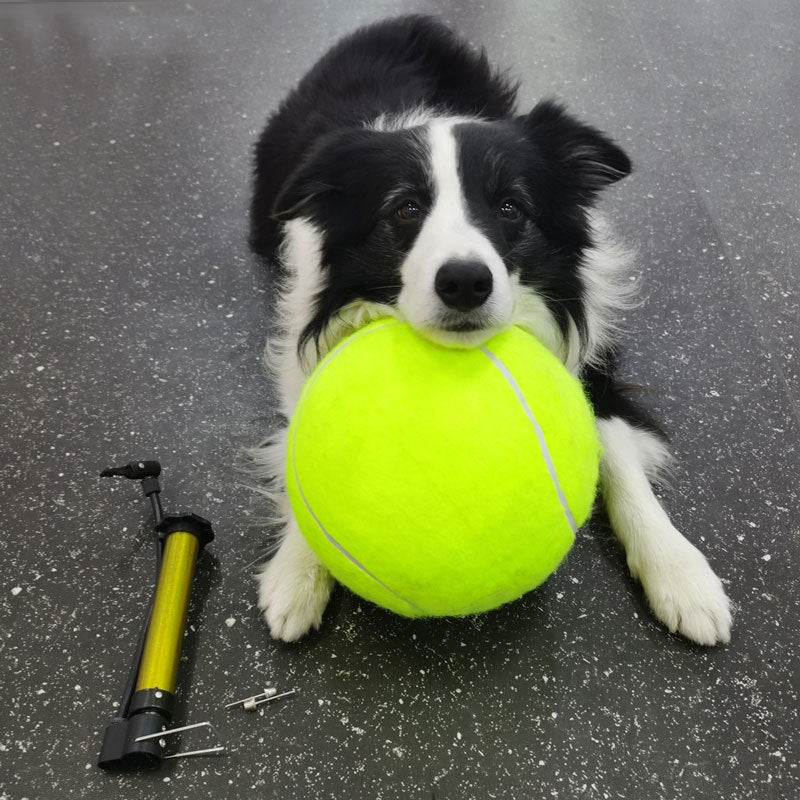 Kumono Monster Tennis Ball